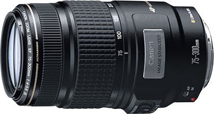 Canon EF 75-300mm F4-5.6 IS USM【中古品】