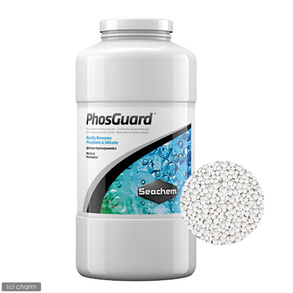 Seachem（シーケム） フォスガード Phos Guard 1L 600g 淡水・海水用 リン酸吸着剤 44105 1個（直送品）