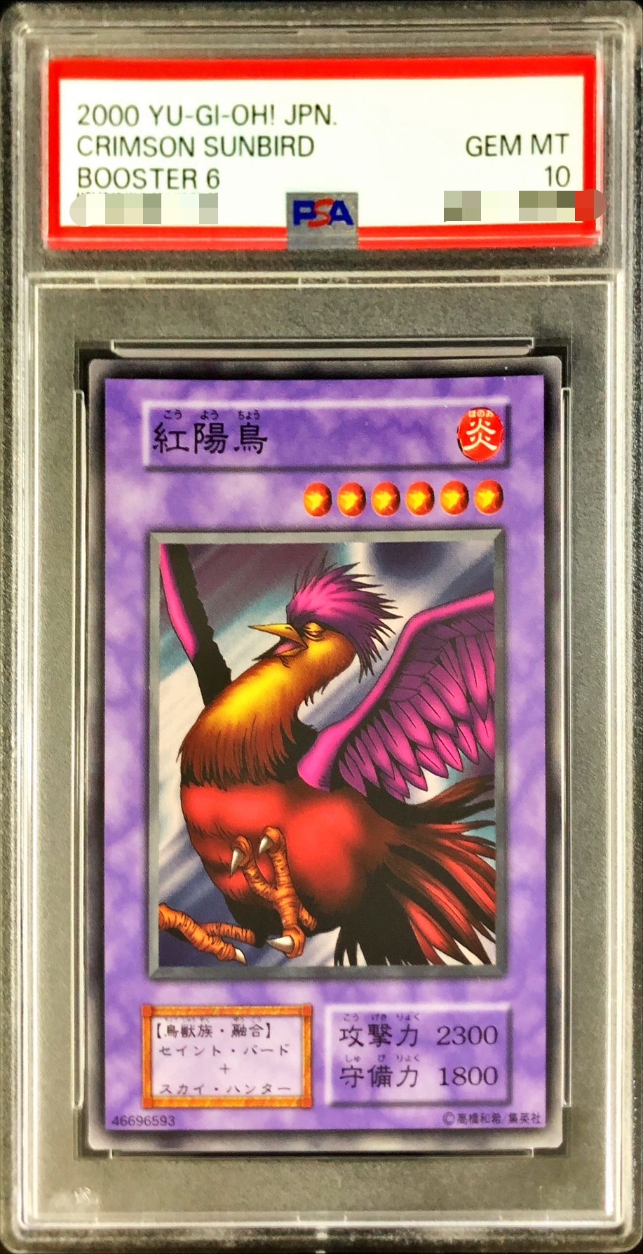 〔PSA10鑑定済〕紅陽鳥(初期)【ノーマル】{-}《モンスター》