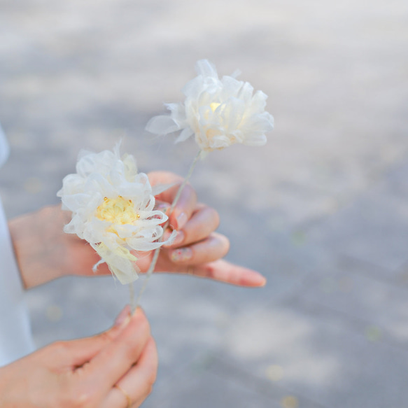 自由に曲げて空間にとける咲き編みの花｜マーガレット