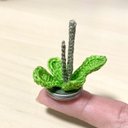 かぎ針編みの植物＊雑草