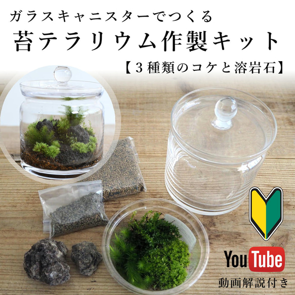 はじめての苔テラリウム作製キット【初心者向け】◆解説動画付き（苔テラリウム・コケリウム）