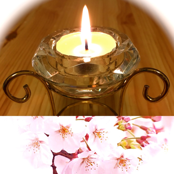 100%天然蜜蝋TEA LIGHT CANDLE ５個セット サクラ