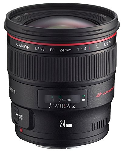 Canon 単焦点広角レンズ EF24mm F1.4L II USM フルサイズ対応【中古品】