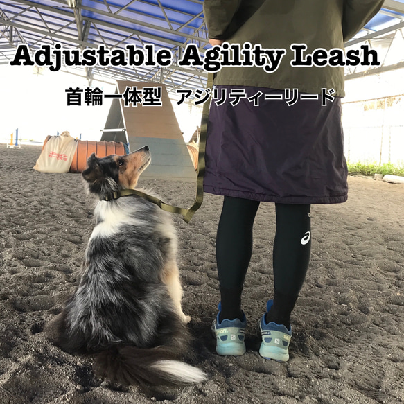 Ajustable Agillity Leash 首輪一体型アジリティーリード （カーキ）