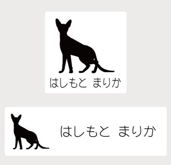 コーニッシュレックス_ペットシルエットお名前スタンプ_猫グッズ_名入れ_PET-TEP_ENT_195_348