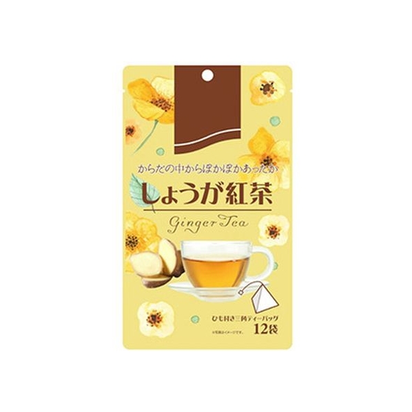 リブ・ラボラトリーズ しょうが紅茶 2g×12袋入 FCN2898