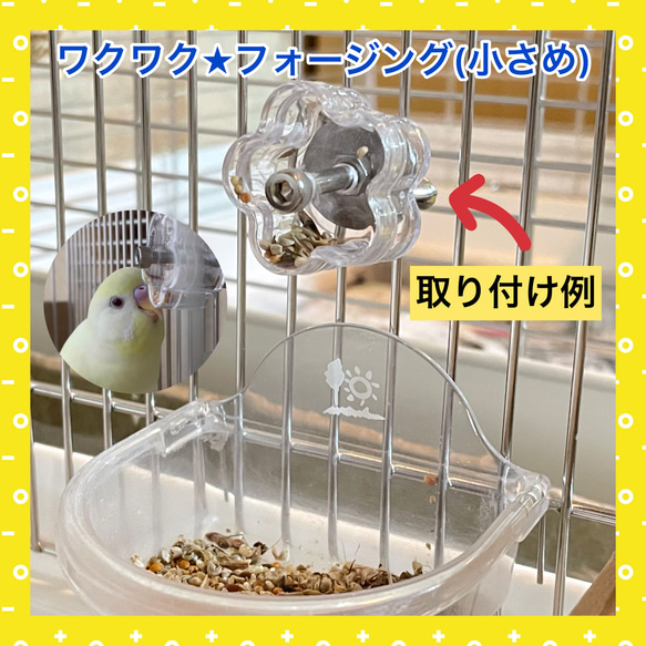 インコおもちゃ★わくわくフォージング(小さめ)