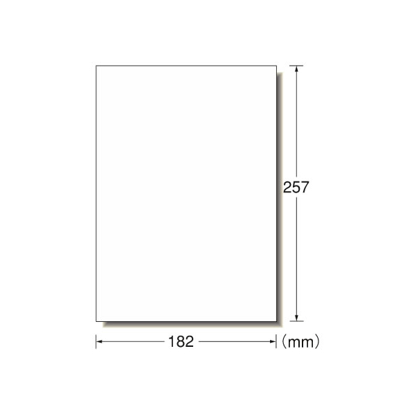 エーワン PPC(コピー)ラベル B5 ノーカット 100枚 F861644-28772