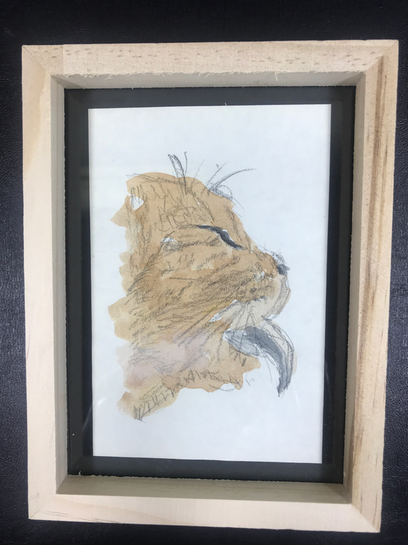 水彩画　原画　　猫　　送料込み