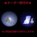 ★オリジナルオーダー LED プロジェクター ライト ウエルカムランプ★