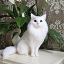 【オーダーメイドペット】羊毛フェルト、うちの子　猫ぬいぐるみ、フェルト猫、羊毛猫、肖像画、犬猫人形 プレゼントやギフトに