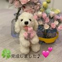 フワフワしろわんこ