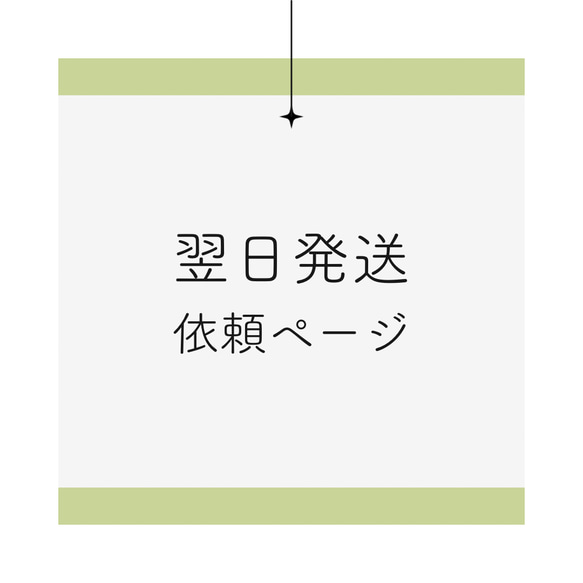 翌日発送依頼ページ