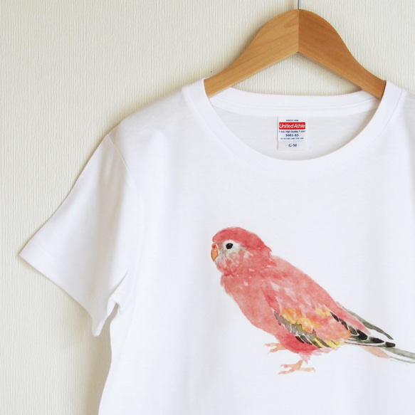 p-jet　アキクサインコ  Tシャツ　 / 鳥 インコ