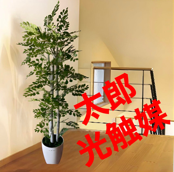 光触媒　人工観葉植物　ウォールグリーン　フェイクグリーン　トネリコ12552