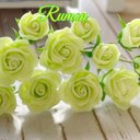 Rumonミニチュア  薔薇　黄緑色