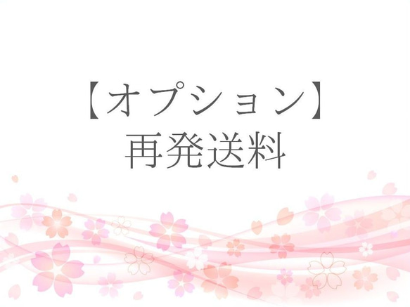 【オプション】再発送料：300円