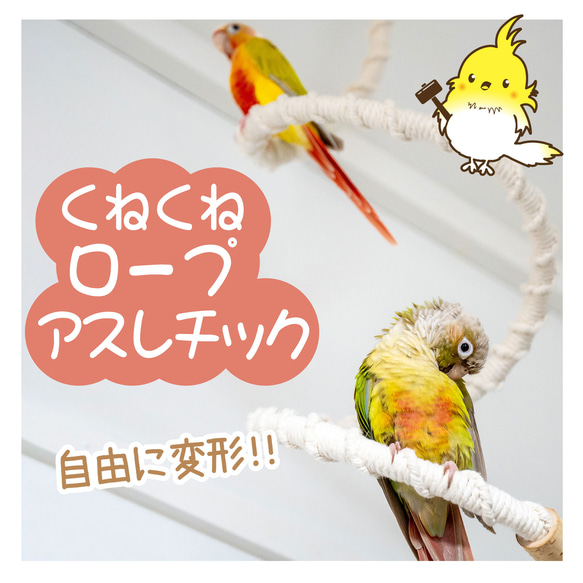 インコちゃんの✩.*˚くねくねロープアスレチック　小型〜中型さん向け