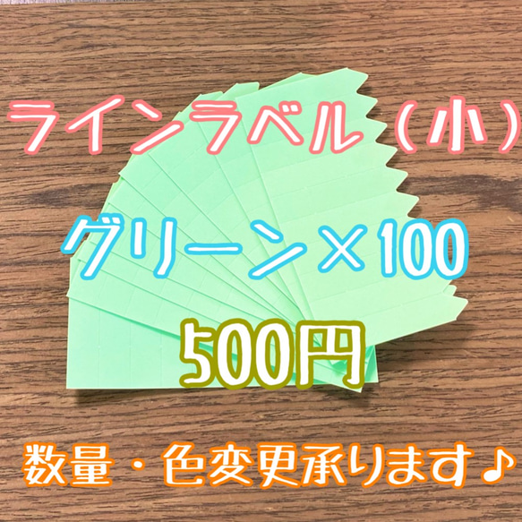 ◎オーダー可◎ 100枚 ◎ グリーン 小 ラインラベル 園芸ラベル カラーラベル 多肉植物 観葉植物 ハーブ苗 アガベ