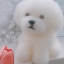 ビションフリーゼ　犬　白わんこ　羊毛フェルト