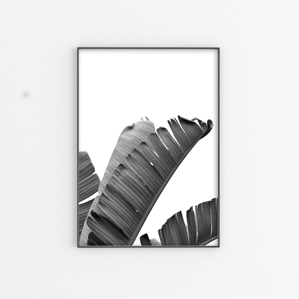 ●素材にこだわったGraphic Poster  【Banana Leaf BW】