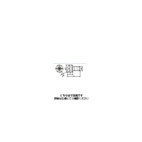 住友電工ハードメタル アキシャルアジャストボルト AJM6 1セット（10本）（直送品）