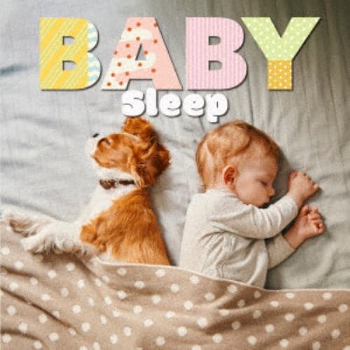 【CD】Baby Sleep