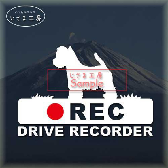 ウエストハイランドホワイトテリアの白シルエットステッカー後方注意!!『DRIVE　RECORDER』