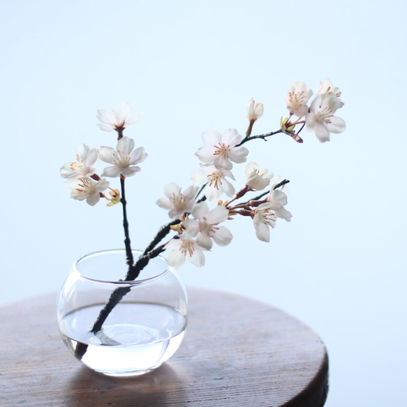 （水換え不要）桜　サクラの小枝瓶挿し