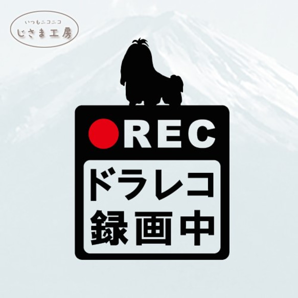 ちょんまげシーズーの黒色シルエットステッカー危険運転防止!!ドライブレコーダー録画中