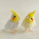 『仲良しオカメインコ』2羽セット（羊毛フェルトの小鳥）