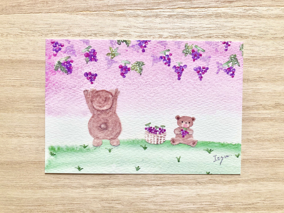 3枚セット「クマ親子のぶどう狩り」水彩画イラストポストカード　秋　ブドウ　メッセージカード　敬老の日　くま