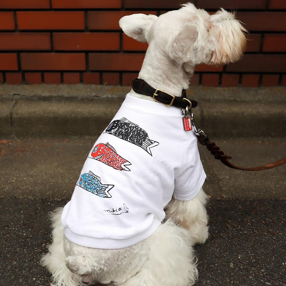 わんちゃん用 こいのぼりＴシャツ 犬 DOG わんこ  犬服