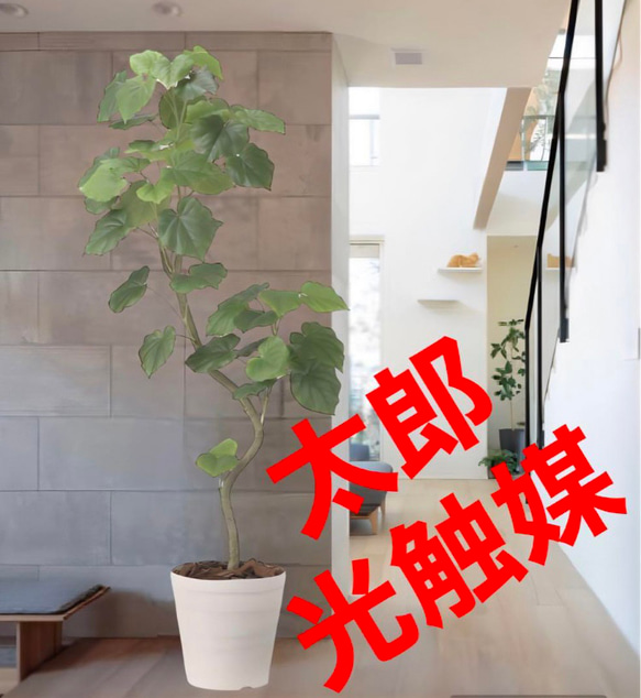 光触媒　人工観葉植物　フェイクグリーン　ツイストウンベラータ1.6