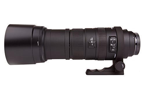 SIGMA 超望遠ズームレンズ APO 150-500mm F5-6.3 DG OS HSM キヤノン用 フルサイズ対応 737542【中古品】