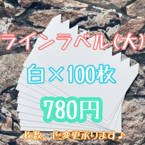 ラインラベル (大) 白 ホワイト 100枚 園芸ラベル 多肉植物 サボテン 観葉植物