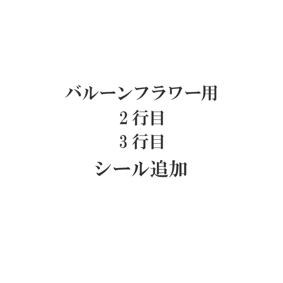 ２行目３行目の追加（＋５００円）