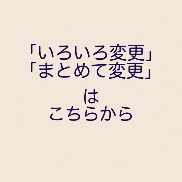 オプション追加・変更用です