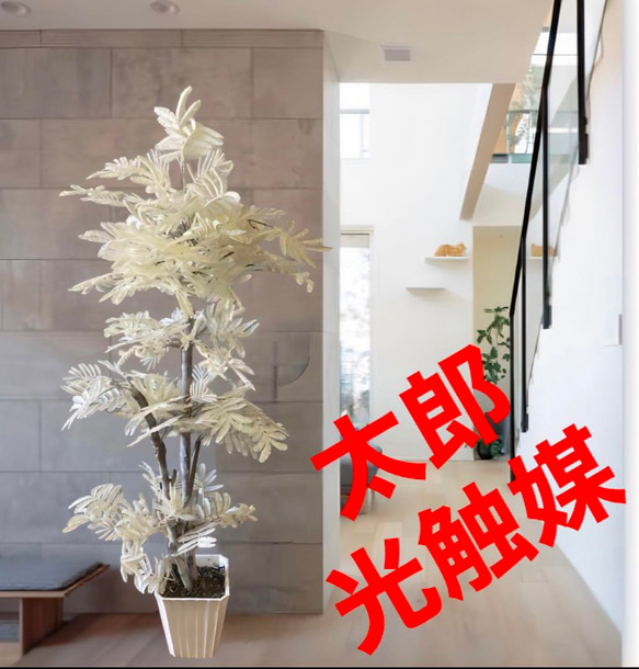 光触媒　人工観葉植物　ウォールグリーン　フェイクグリーン　エバーフレッシュ白