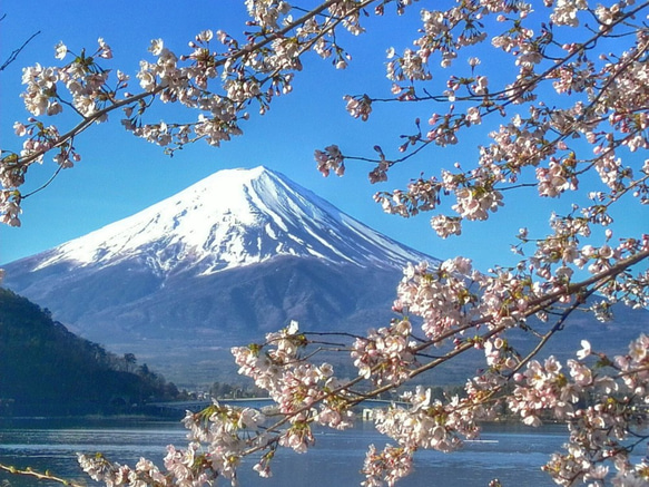 世界遺産 富士山 写真 A4又は2L版 額付き