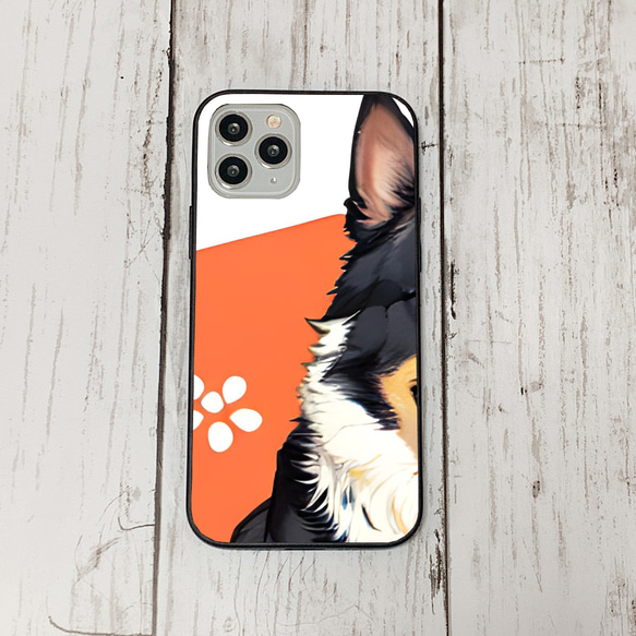 iphoneケース2-3-50 iphone 強化ガラス 犬・いぬ・ワンちゃん 箱14 かわいい アイフォン iface