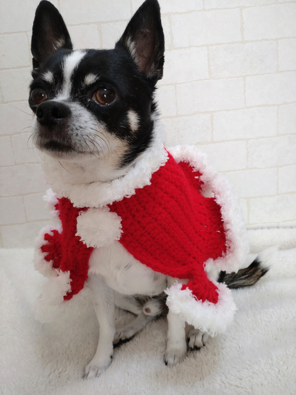 犬服　サンタケープ Mサイズ　クリスマス　コスプレ