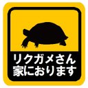 リクガメさん家におります カー マグネットステッカー