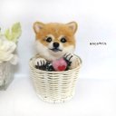 羊毛フェルト 犬 ポットin柴犬