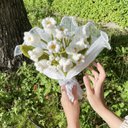 誕生日におすすめ✧すずらんのブーケ￤ かぎ編み 毛糸 花束 編み物 編みぐるみかすみ草 インテリア プレゼント 韓国インテリア フラワー プチギフト 枯れない花 結婚祝い 新居祝い 誕生日プレゼント