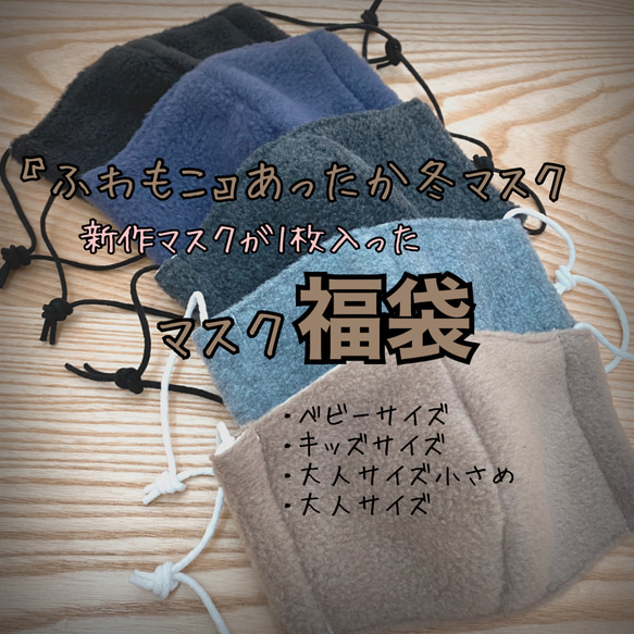 あったか冬マスク入り☆マスク福袋 2枚セット