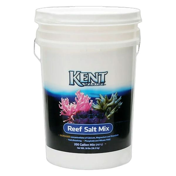 マーフィード Ｋｅｎｔ　Ｒｅａｆ　Ｓａｌｔ 0751906021117 1個（直送品）