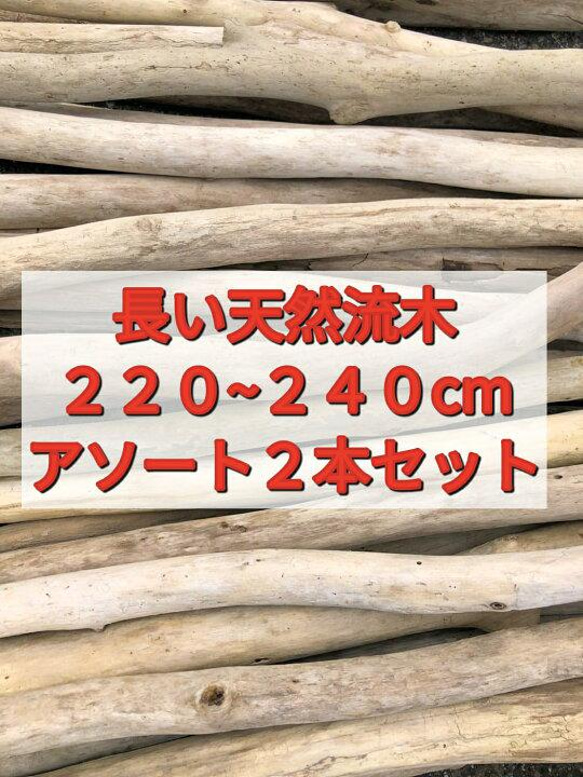 送料無料●（２２０cm〜２４０cm前後）南信州産 枝幹 長い流木 天然流木 格安アソート ２本セット