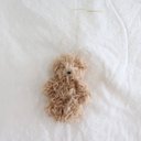 mini teddy ( long)